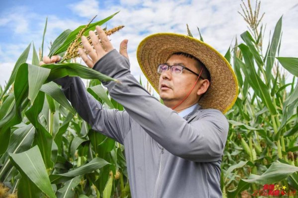 严建兵委员：一粒高蛋白玉米 激活产业全链条