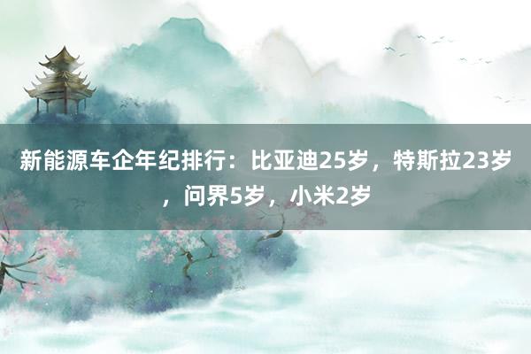 新能源车企年纪排行：比亚迪25岁，特斯拉23岁，问界5岁，小米2岁
