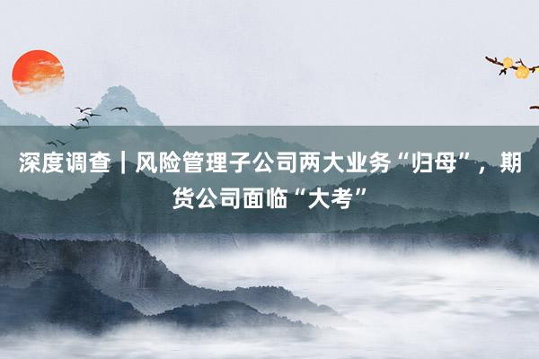 深度调查｜风险管理子公司两大业务“归母”，期货公司面临“大考”