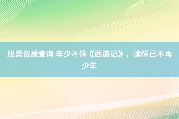 股票资质查询 年少不懂《西游记》，读懂已不再少年